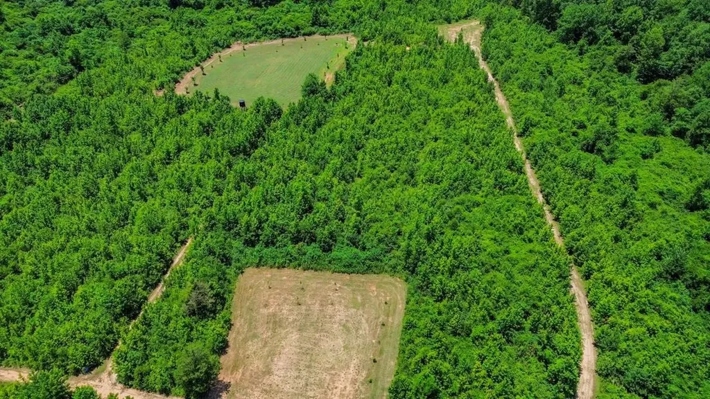 2471 Camden Bypass Camden AL 36726