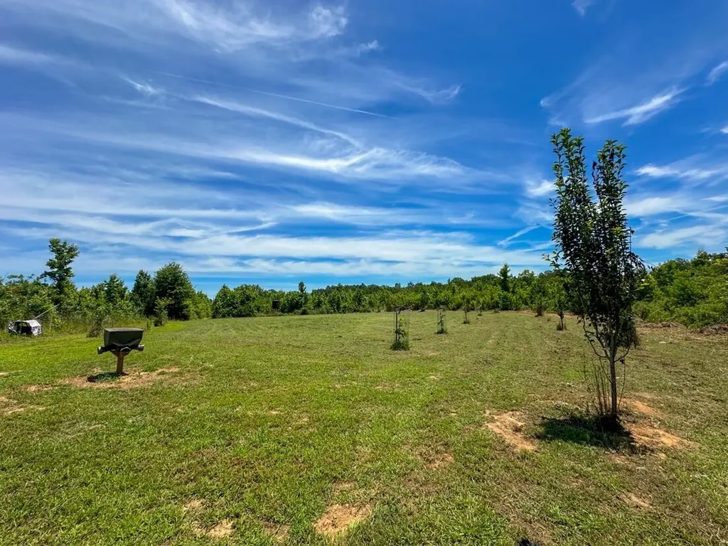 2471 Camden Bypass Camden AL 36726