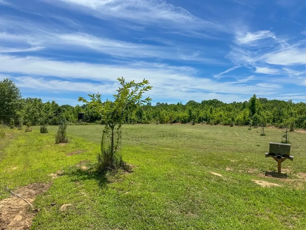 2471 Camden Bypass Camden AL 36726