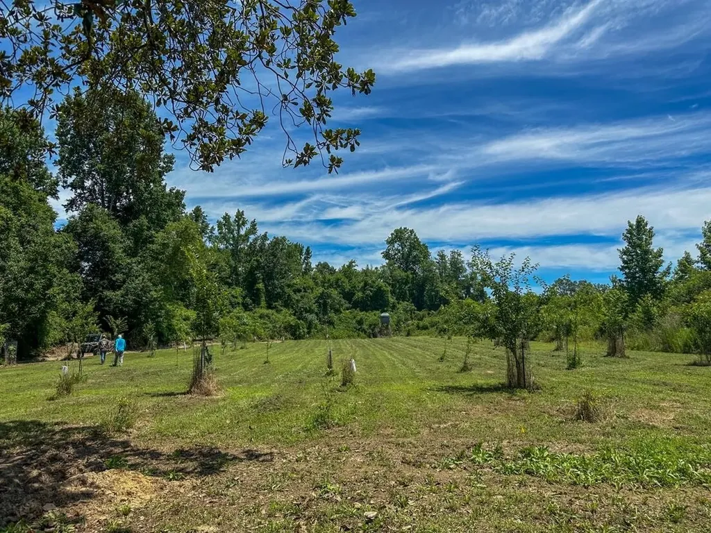 2471 Camden Bypass Camden AL 36726