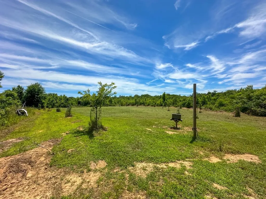 2471 Camden Bypass Camden AL 36726