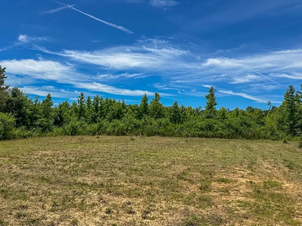 2471 Camden Bypass Camden AL 36726