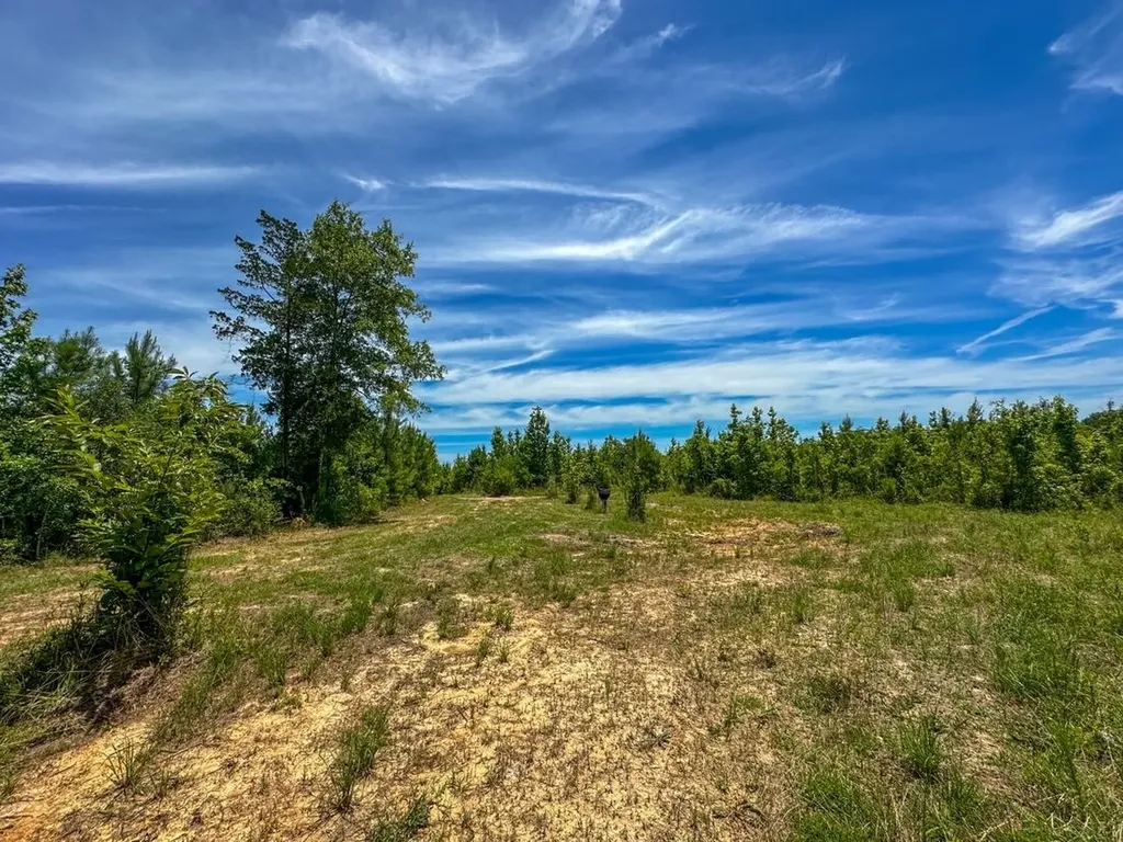 2471 Camden Bypass Camden AL 36726