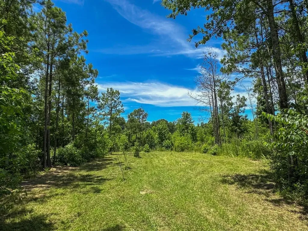 2471 Camden Bypass Camden AL 36726