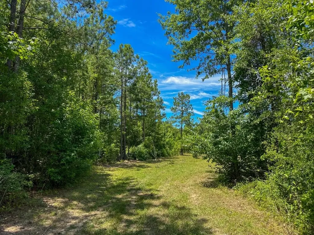 2471 Camden Bypass Camden AL 36726