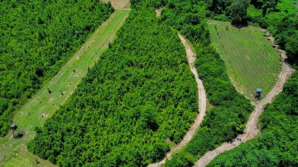 2471 Camden Bypass Camden AL 36726