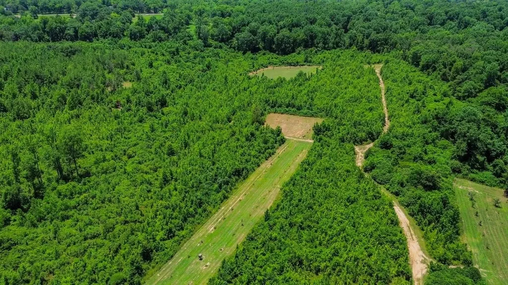 2471 Camden Bypass Camden AL 36726