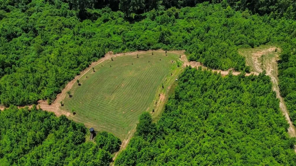 2471 Camden Bypass Camden AL 36726