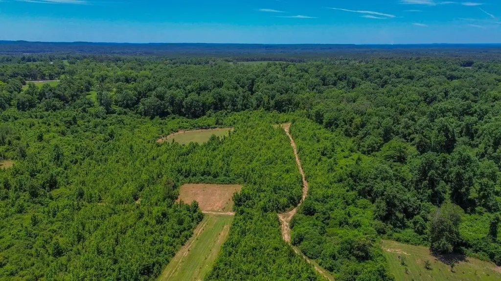 2471 Camden Bypass Camden AL 36726