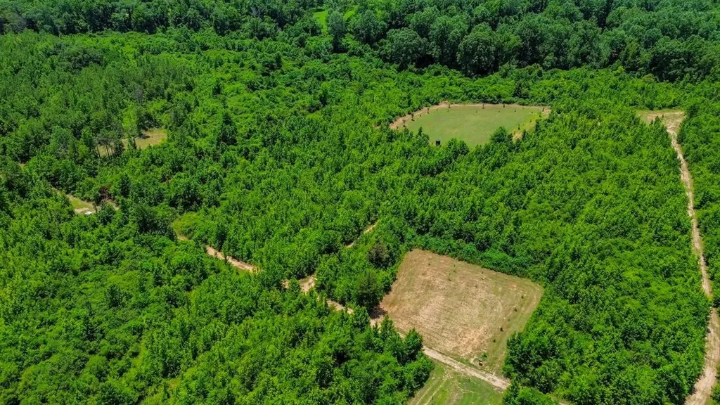 2471 Camden Bypass Camden AL 36726