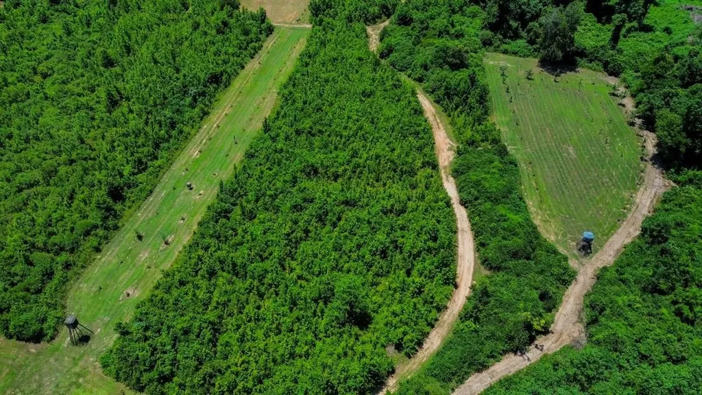 2471 Camden Bypass Camden AL 36726