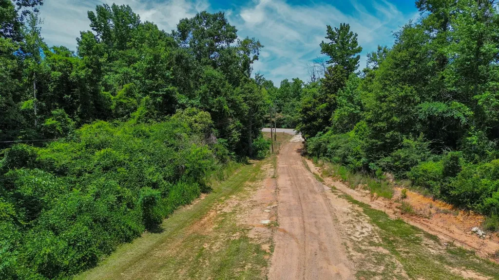 2471 Camden Bypass Camden AL 36726