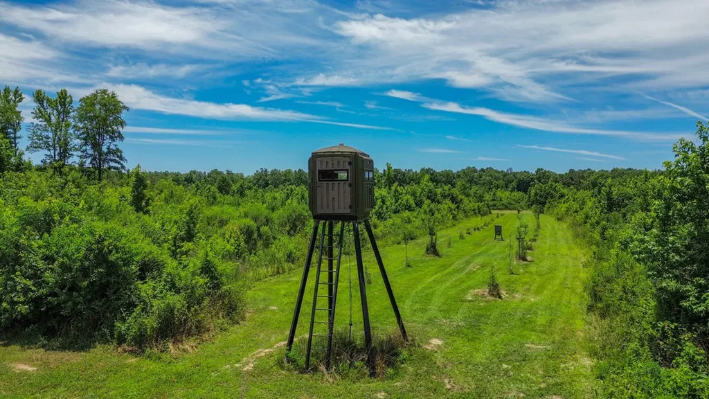 2471 Camden Bypass Camden AL 36726