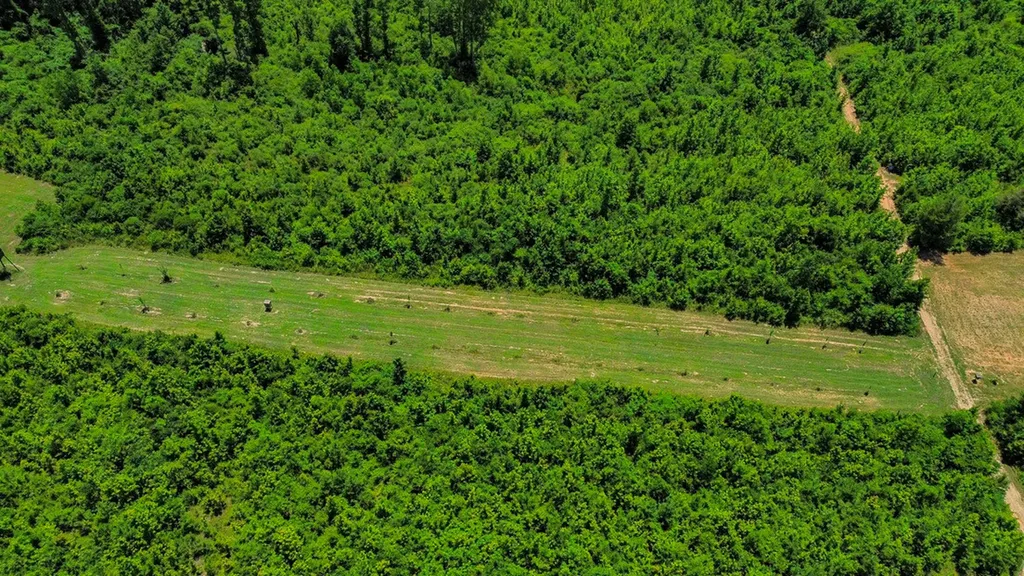 2471 Camden Bypass Camden AL 36726