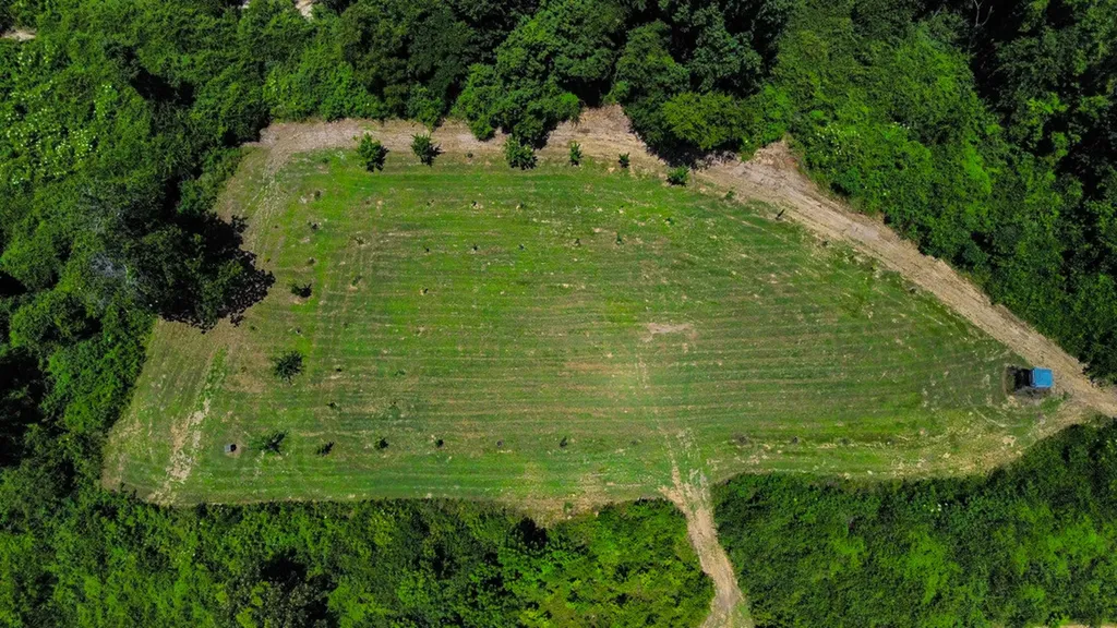 2471 Camden Bypass Camden AL 36726