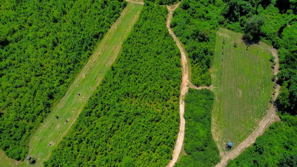 2471 Camden Bypass Camden AL 36726