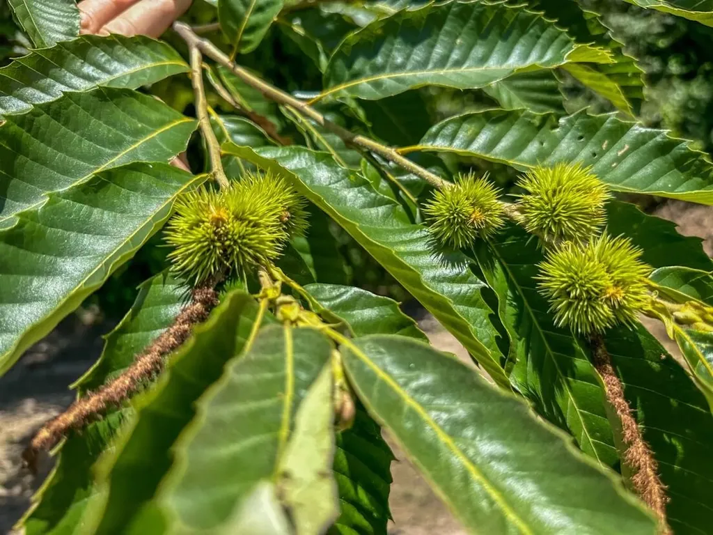 2471 Camden Bypass Camden AL 36726