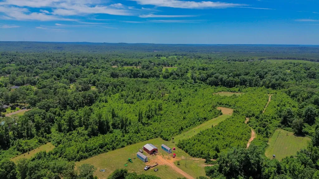 2471 Camden Bypass Camden AL 36726