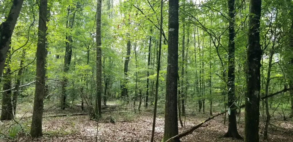 974 Merrifield Drive Valley Grande AL 36701