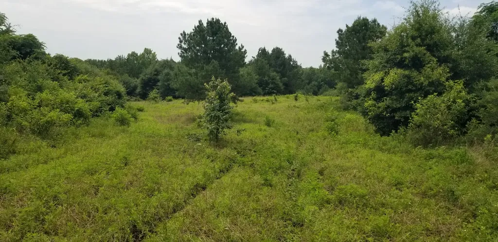 974 Merrifield Drive Valley Grande AL 36701