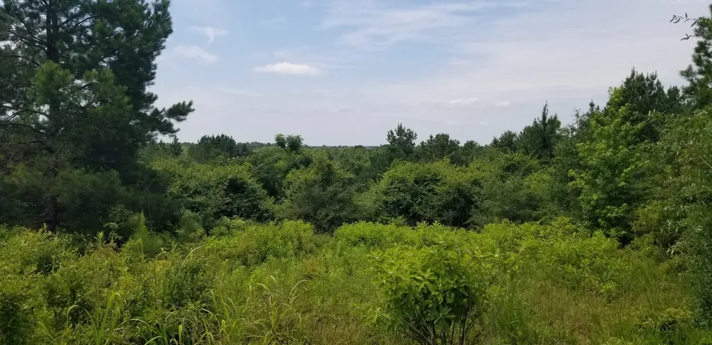 974 Merrifield Drive Valley Grande AL 36701