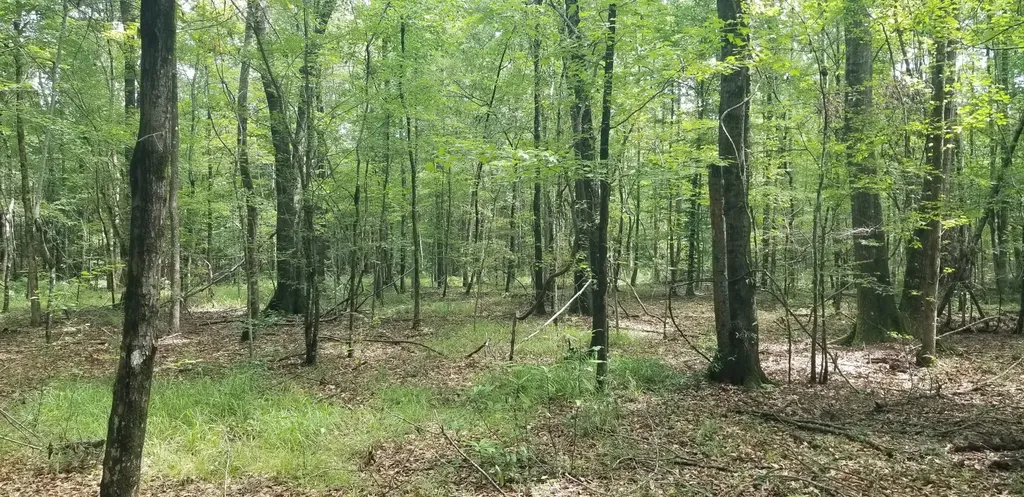 974 Merrifield Drive Valley Grande AL 36701