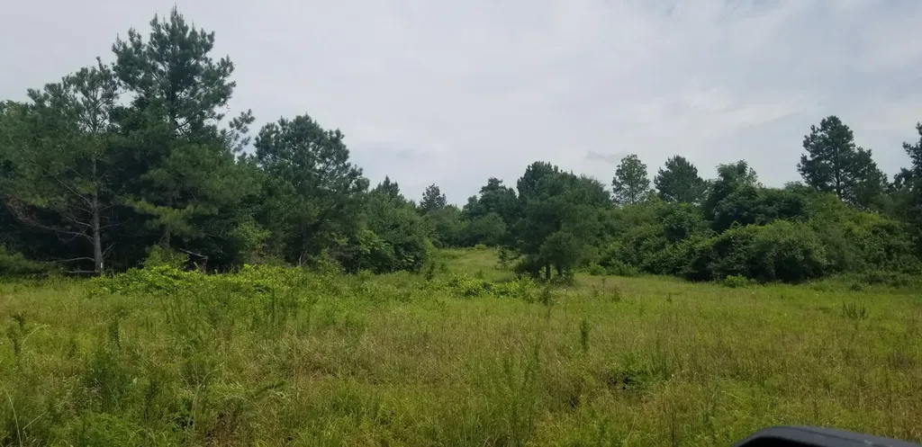 974 Merrifield Drive Valley Grande AL 36701