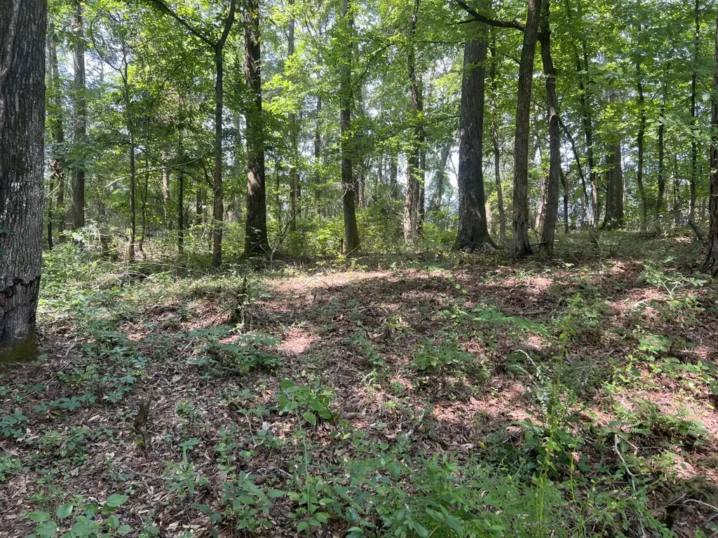 0 Orlea Lane Tuscaloosa AL 35475