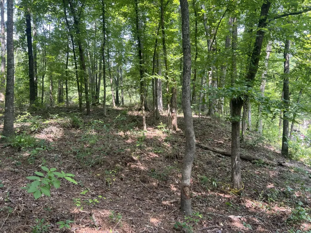 0 Orlea Lane Tuscaloosa AL 35475