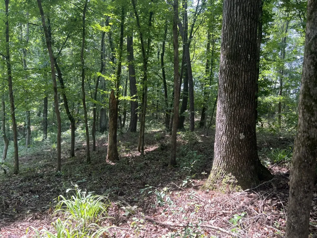 0 Orlea Lane Tuscaloosa AL 35475