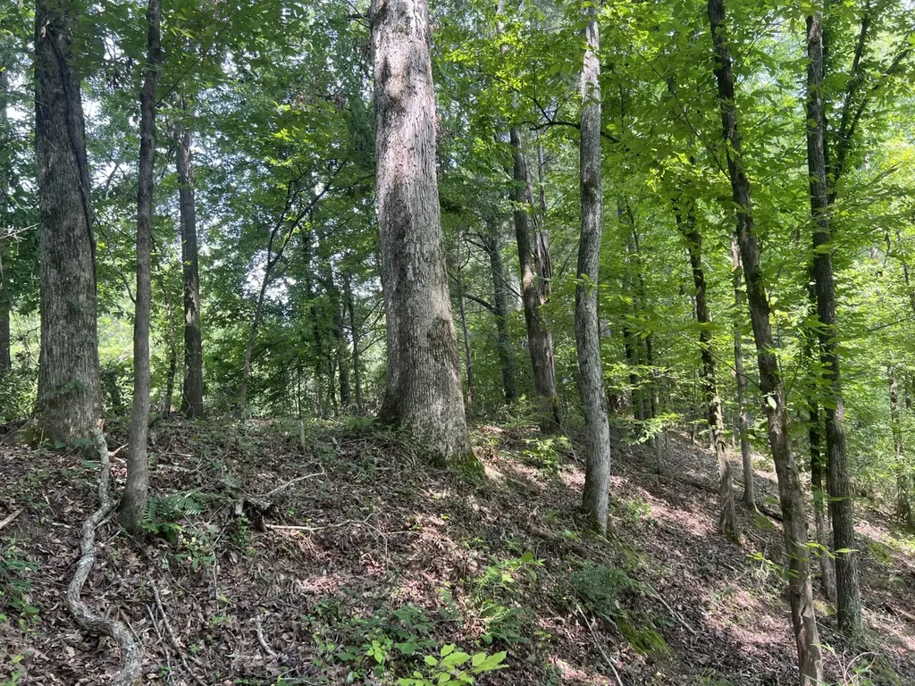 0 Orlea Lane Tuscaloosa AL 35475