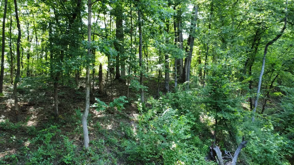 0 Orlea Lane Tuscaloosa AL 35475