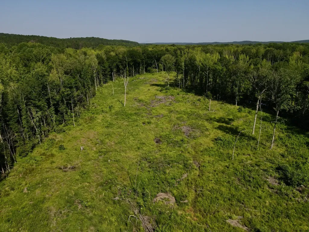 0 Reedy Branch Road Hamilton AL 35570