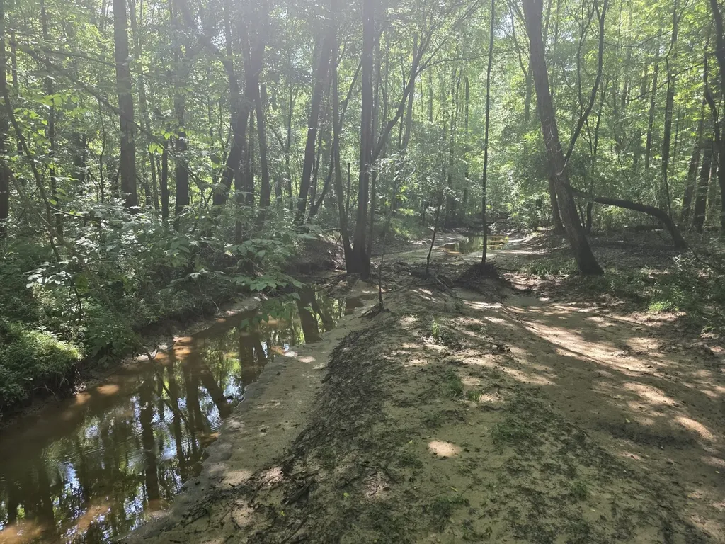 0 Reedy Branch Road Hamilton AL 35570