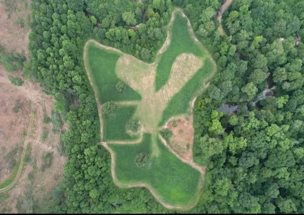 0 Reedy Branch Road Hamilton AL 35570