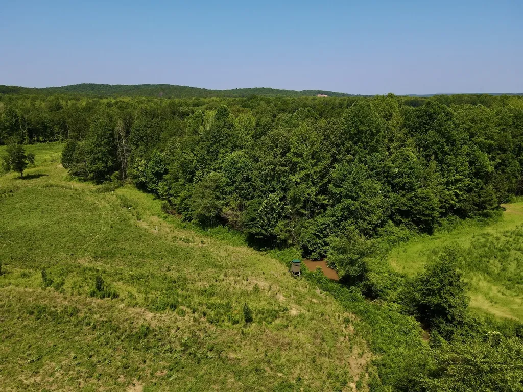 0 Reedy Branch Road Hamilton AL 35570