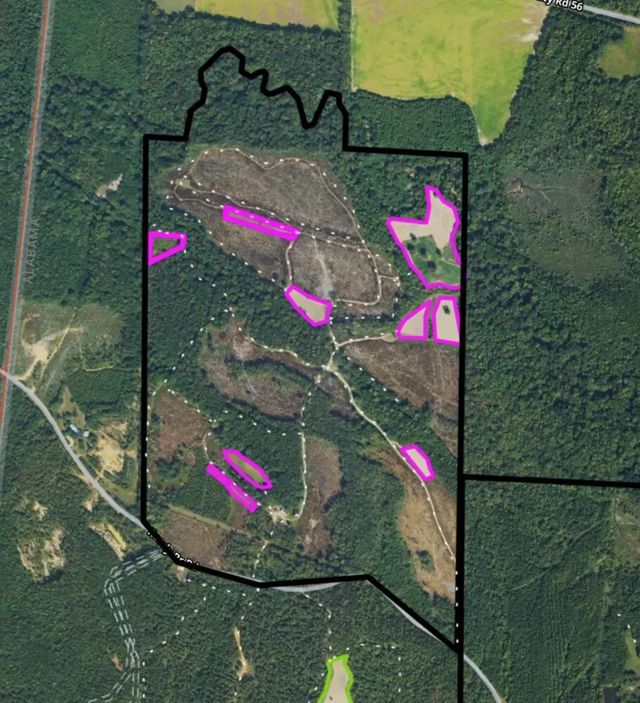 0 Reedy Branch Road Hamilton AL 35570