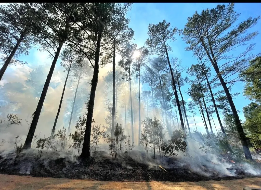 0 Reedy Branch Road Hamilton AL 35570