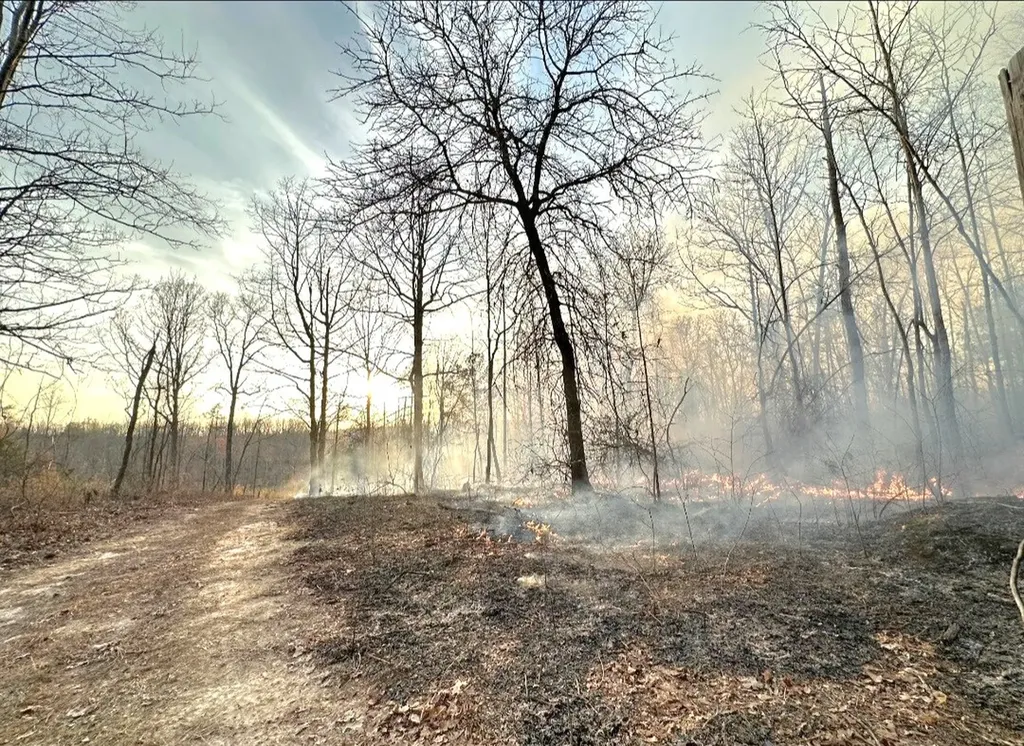 0 Reedy Branch Road Hamilton AL 35570