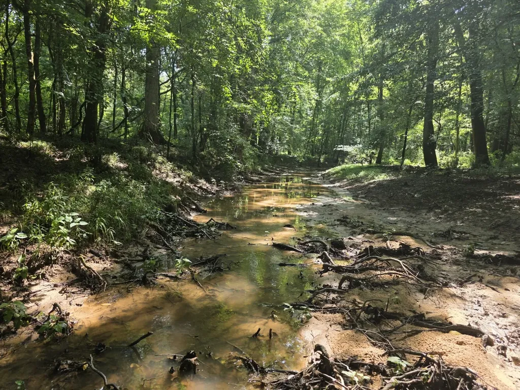 0 Reedy Branch Road Hamilton AL 35570