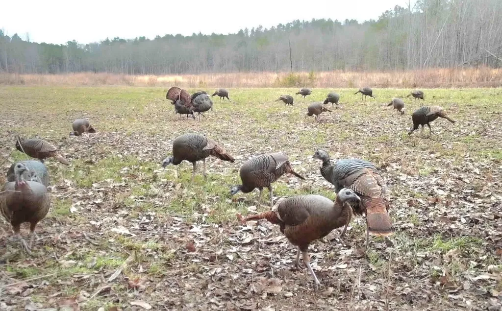 0 Reedy Branch Road Hamilton AL 35570