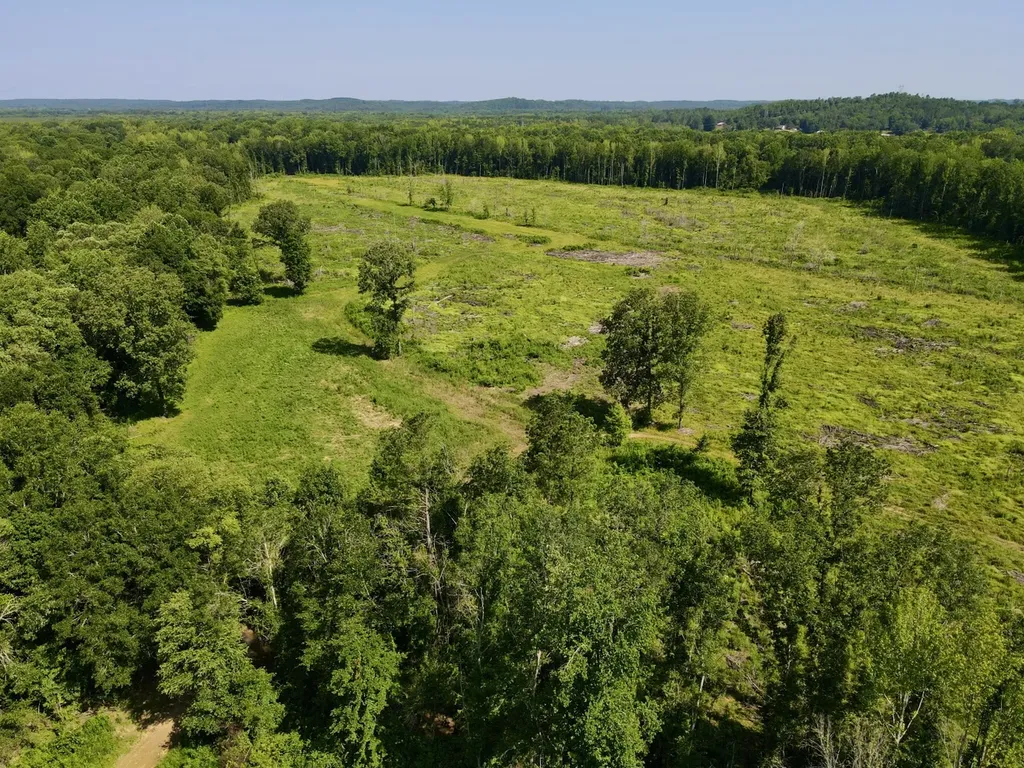 0 Reedy Branch Road Hamilton AL 35570