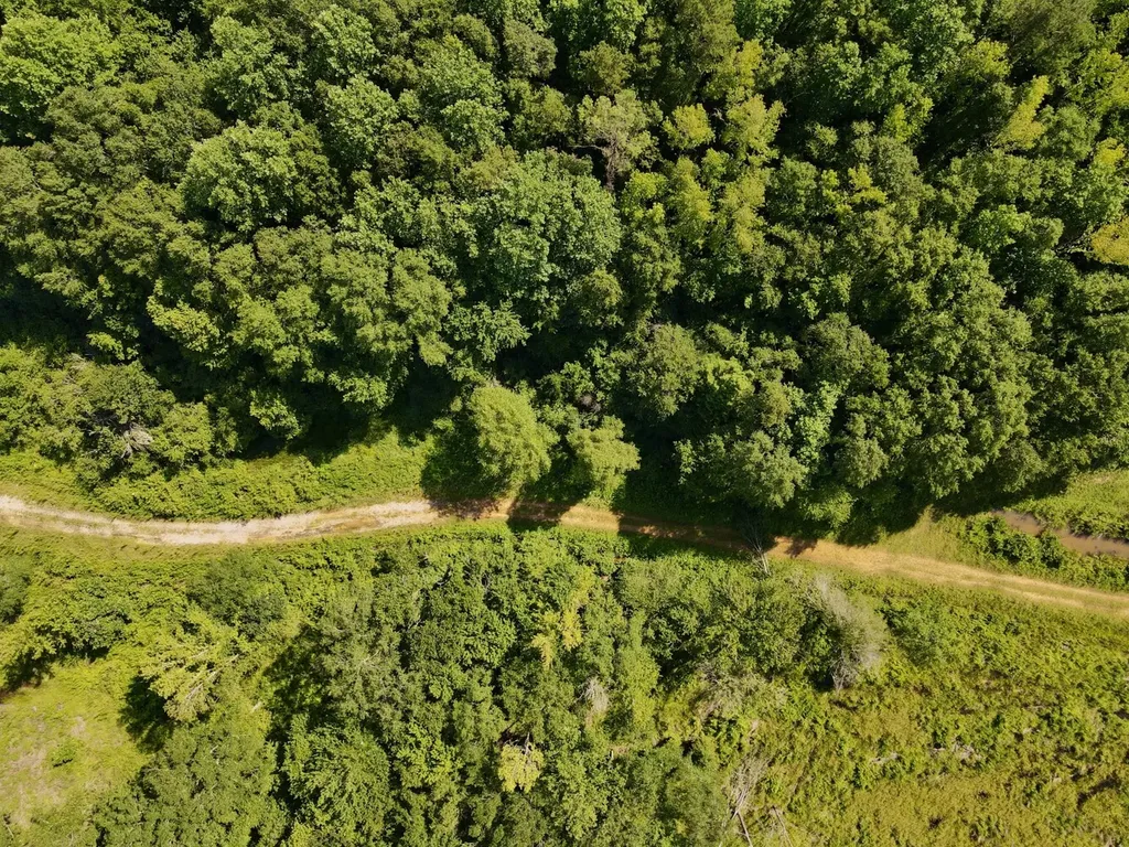 0 Reedy Branch Road Hamilton AL 35570