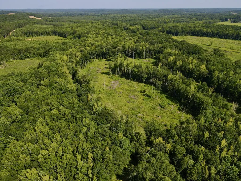 0 Reedy Branch Road Hamilton AL 35570