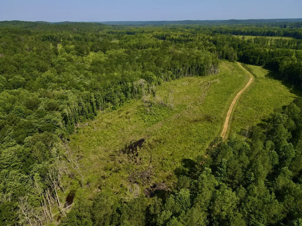 0 Reedy Branch Road Hamilton AL 35570