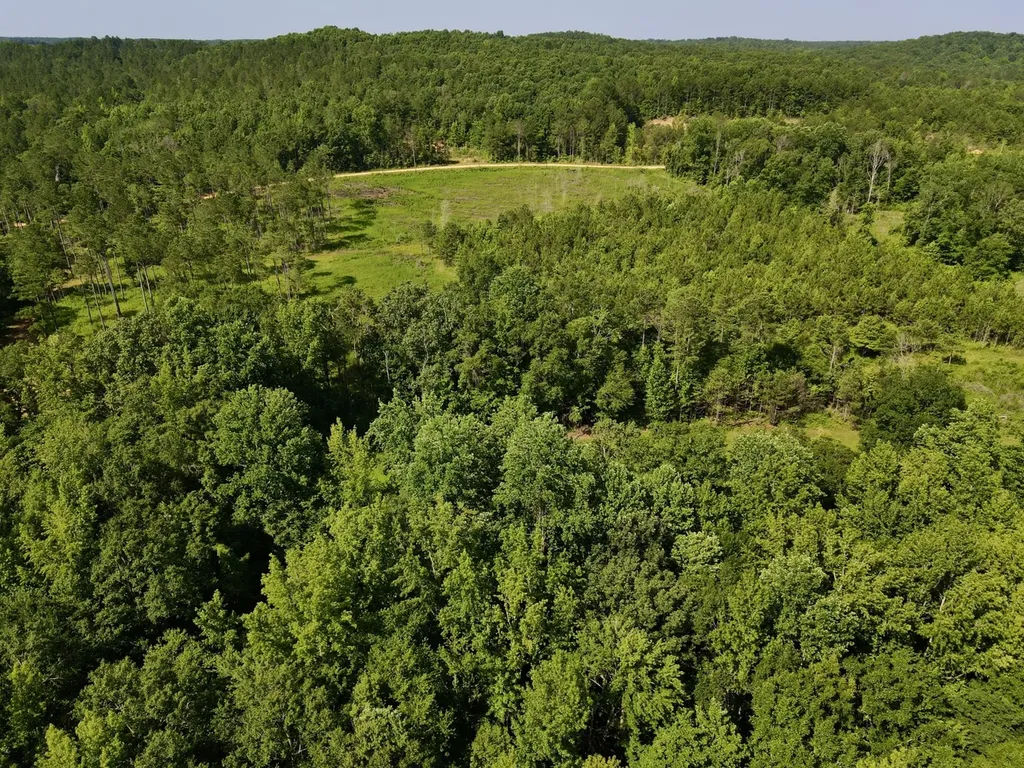 0 Reedy Branch Road Hamilton AL 35570