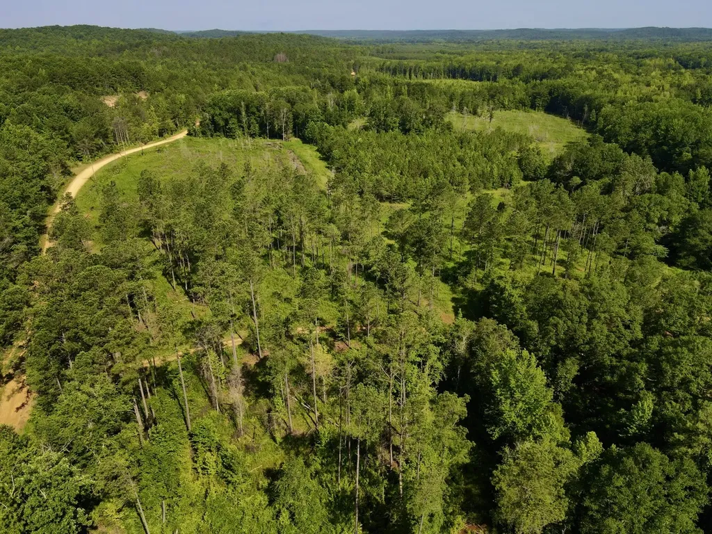 0 Reedy Branch Road Hamilton AL 35570