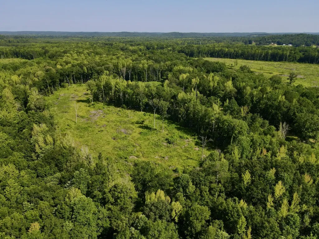 0 Reedy Branch Road Hamilton AL 35570