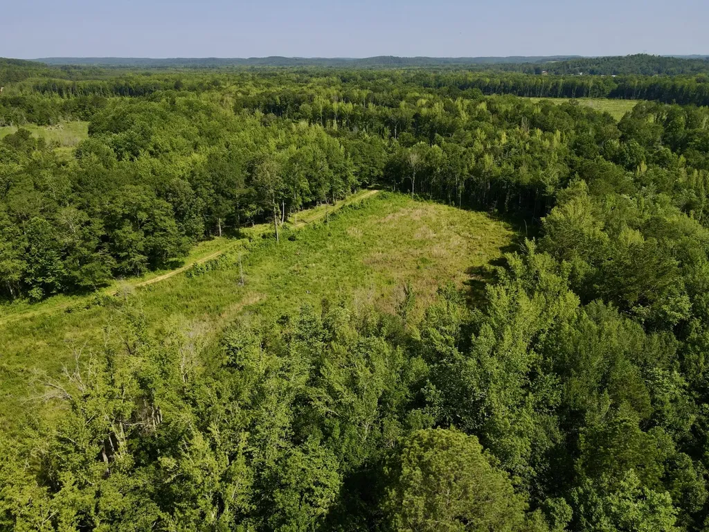 0 Reedy Branch Road Hamilton AL 35570