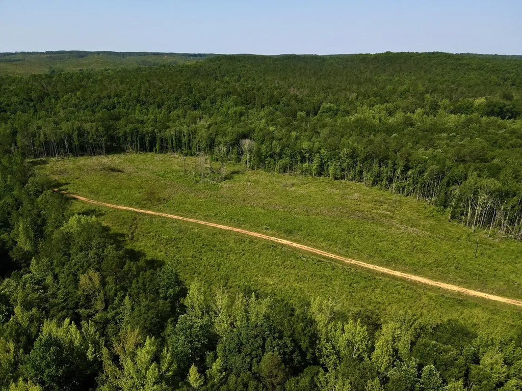 0 Reedy Branch Road Hamilton AL 35570